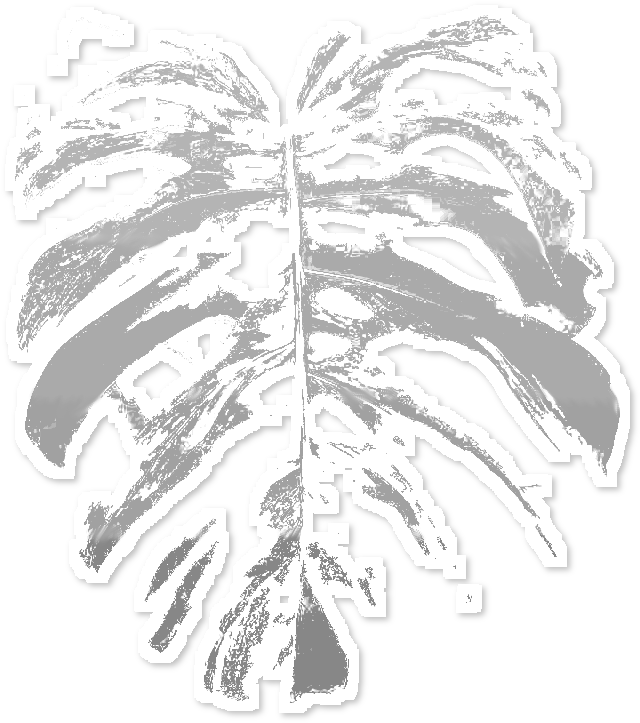 Adhesive (962x962), Png Download