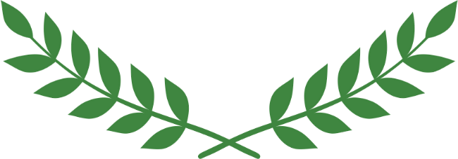 Cyprus Flag (650x227), Png Download
