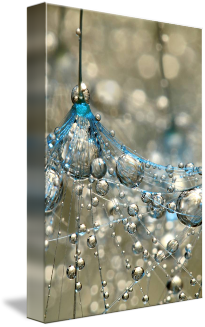 "cyan Gold" By Sharon Johnstone, Birmingham // Dandelion - Perfect International Cyan & Gold By Sharon Johnstone (408x650), Png Download