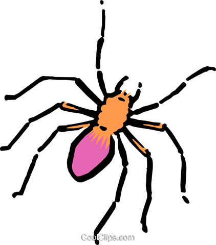 Cartoon Spider Royalty Free Vector Clip Art Illustration - Spider Clip Art (422x480), Png Download