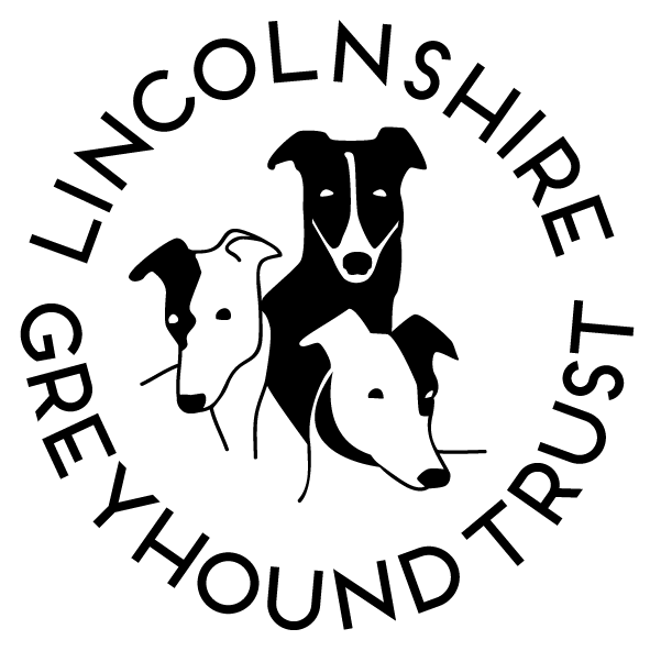 Greyhound Rehoming Services, Lincolnshire Greyhound - Lincolnshire Greyhound Trust (600x600), Png Download