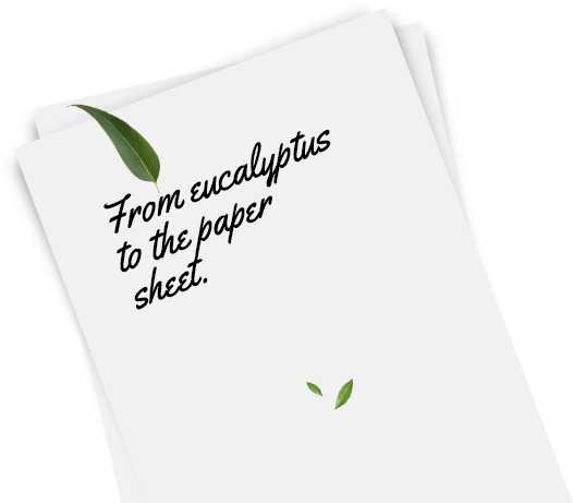 2 Forestry - Document (526x461), Png Download