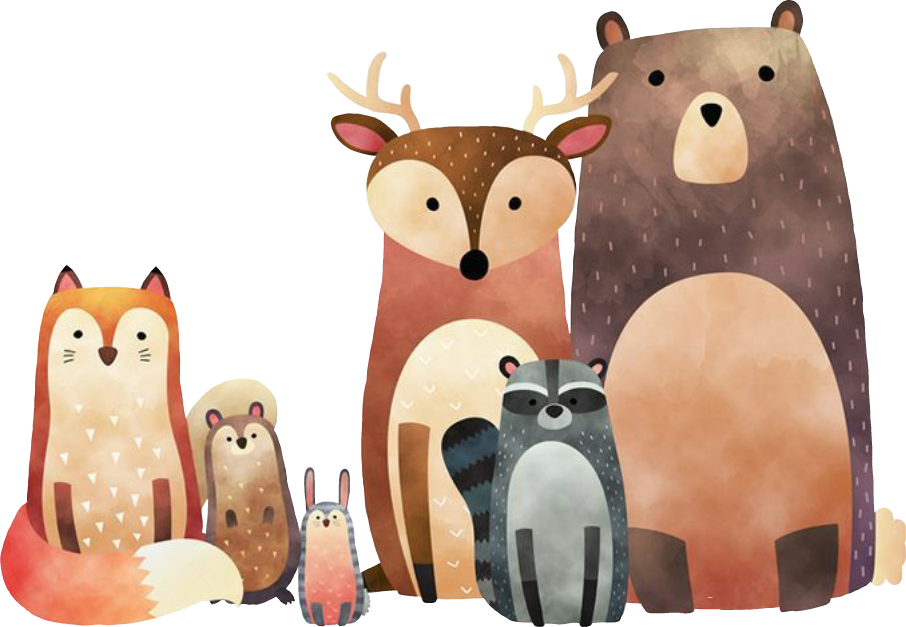 Report Abuse - Transparent Woodland Animals (906x627), Png Download