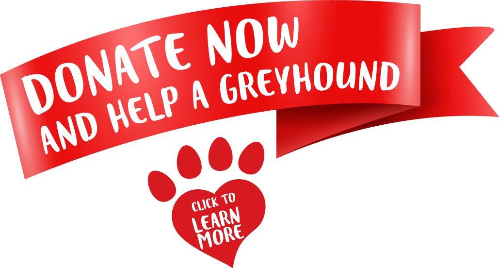 Greyhounds As Pets (1029x552), Png Download