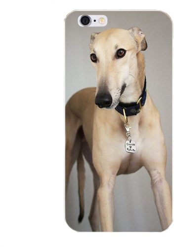 Greyhound Fawn Silicone Iphone Case With Blue Door - Greyhound (500x500), Png Download