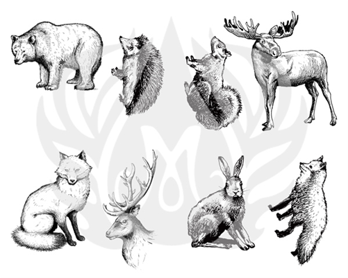 Woodland Animals Silk Screen/1 Spo - Mayco 1570811 Designer Silkscreen Woodland Animals (500x500), Png Download
