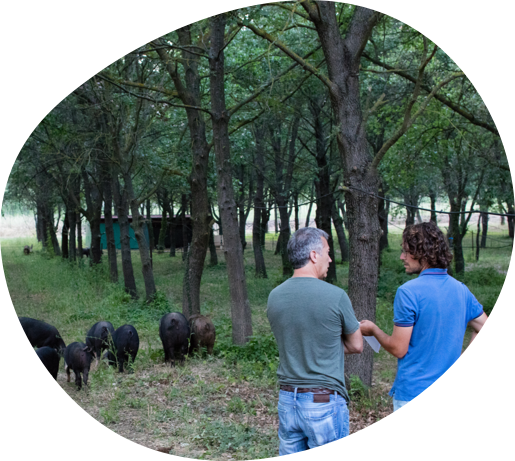 Into This Adventure With His Know-how, Convinced That - Grove (515x461), Png Download