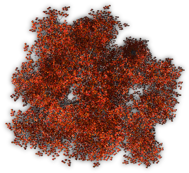 Tree Autumn 7 - Fall Tree (651x579), Png Download