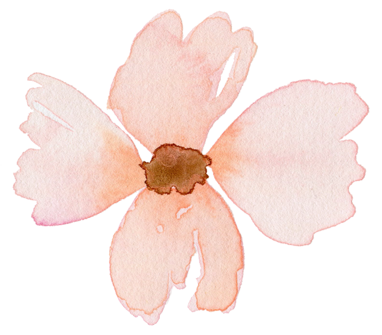 Flower 1 - Honeysuckle (1000x952), Png Download