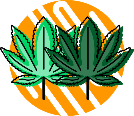 The Difference Between Hemp And Cannabis (466x404), Png Download