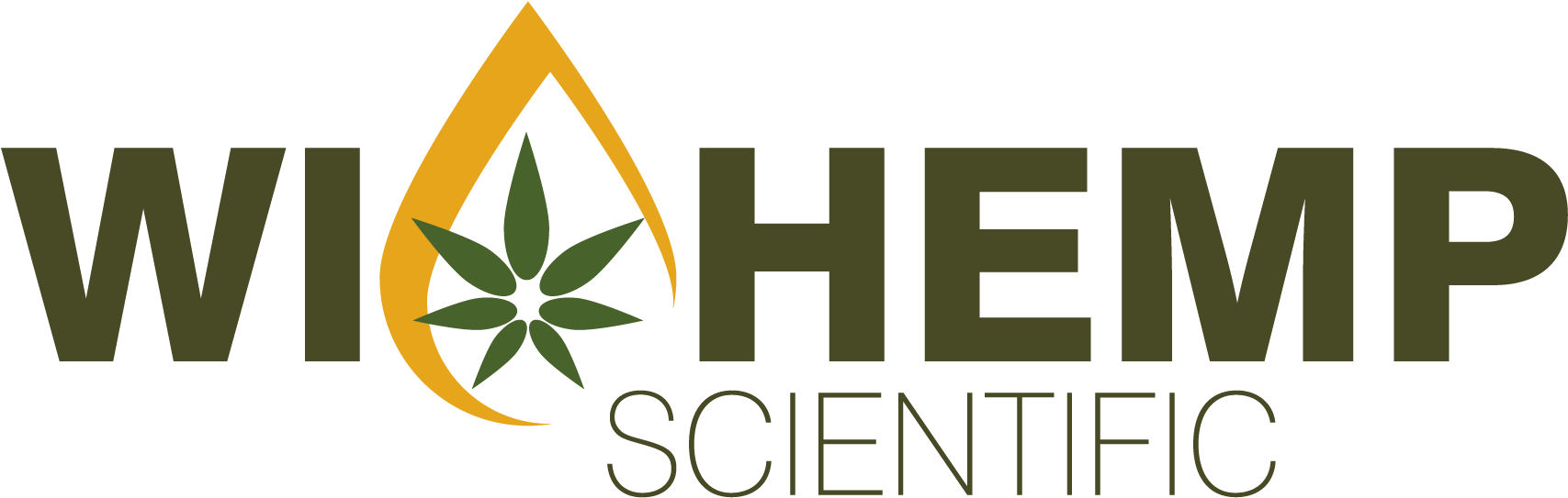 It's Her Birthday (1800x552), Png Download