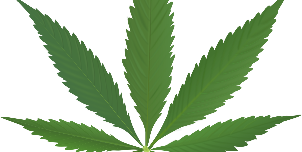 Does Marijuana Make You More Creative - Pot Leaf (1200x600), Png Download