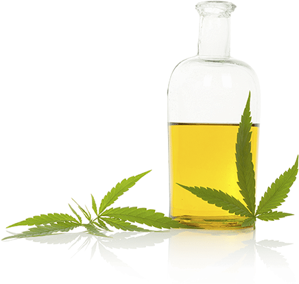 Whole-plant Hemp Extract - Rosa Glauca (518x461), Png Download