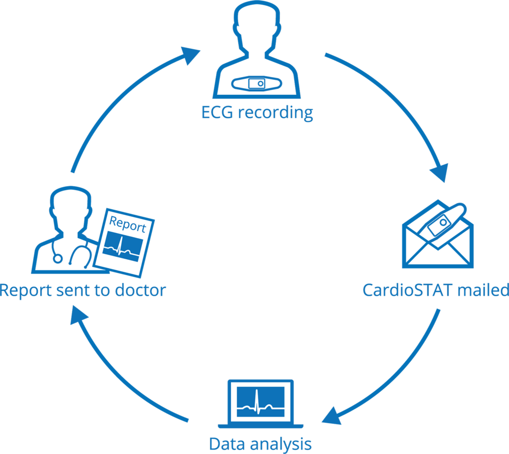 Cardiostat-workflow - Figuras Geometricas Para Armar Esfera (1000x891), Png Download