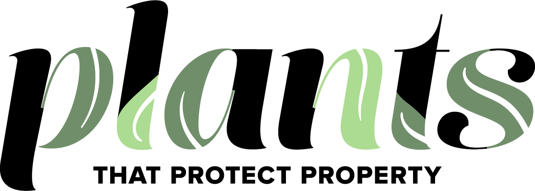 Plants That Protect Property - Graphic Design (1044x374), Png Download