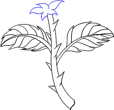 How To Draw Rose With A Stem Step - Drawing (678x600), Png Download