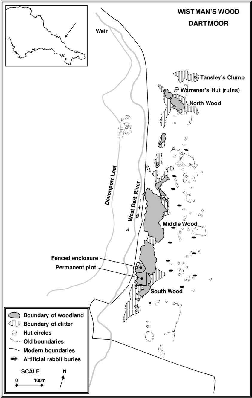 Site Map Of Wistman's Wood - Wistman's Wood (850x1330), Png Download