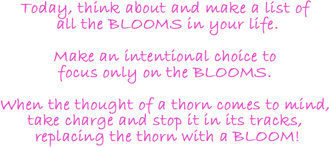 Today, Think About And Make A List Of All The Blooms - Riley And Company Funny Bones Walmart Cling Stamp Set (800x325), Png Download
