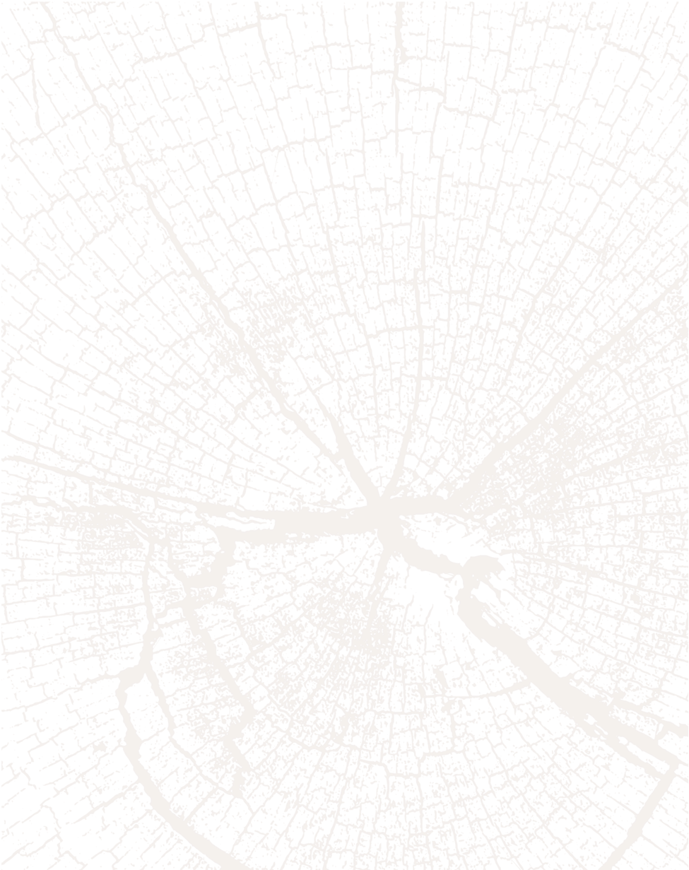 Bark&rock Wood Lighter 04 (1000x1231), Png Download