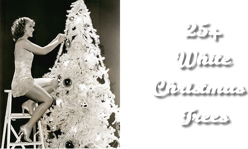 Woman Decorating Tree Vintage (500x300), Png Download