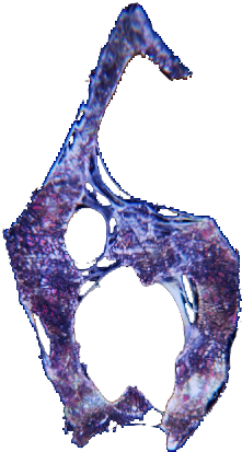 Re 6 Diseño Numero 6 - Resident Evil 6 (400x500), Png Download