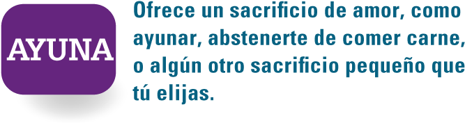 Ctp Spanish White Fast - Holstein Switzerland Nature Park (760x187), Png Download