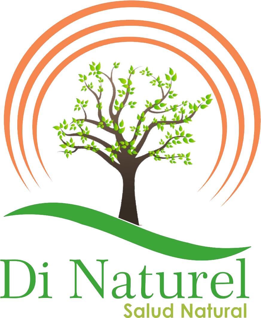 Di Naturel Logo Dise O Web Monterrey - Illustration (1256x1536), Png Download