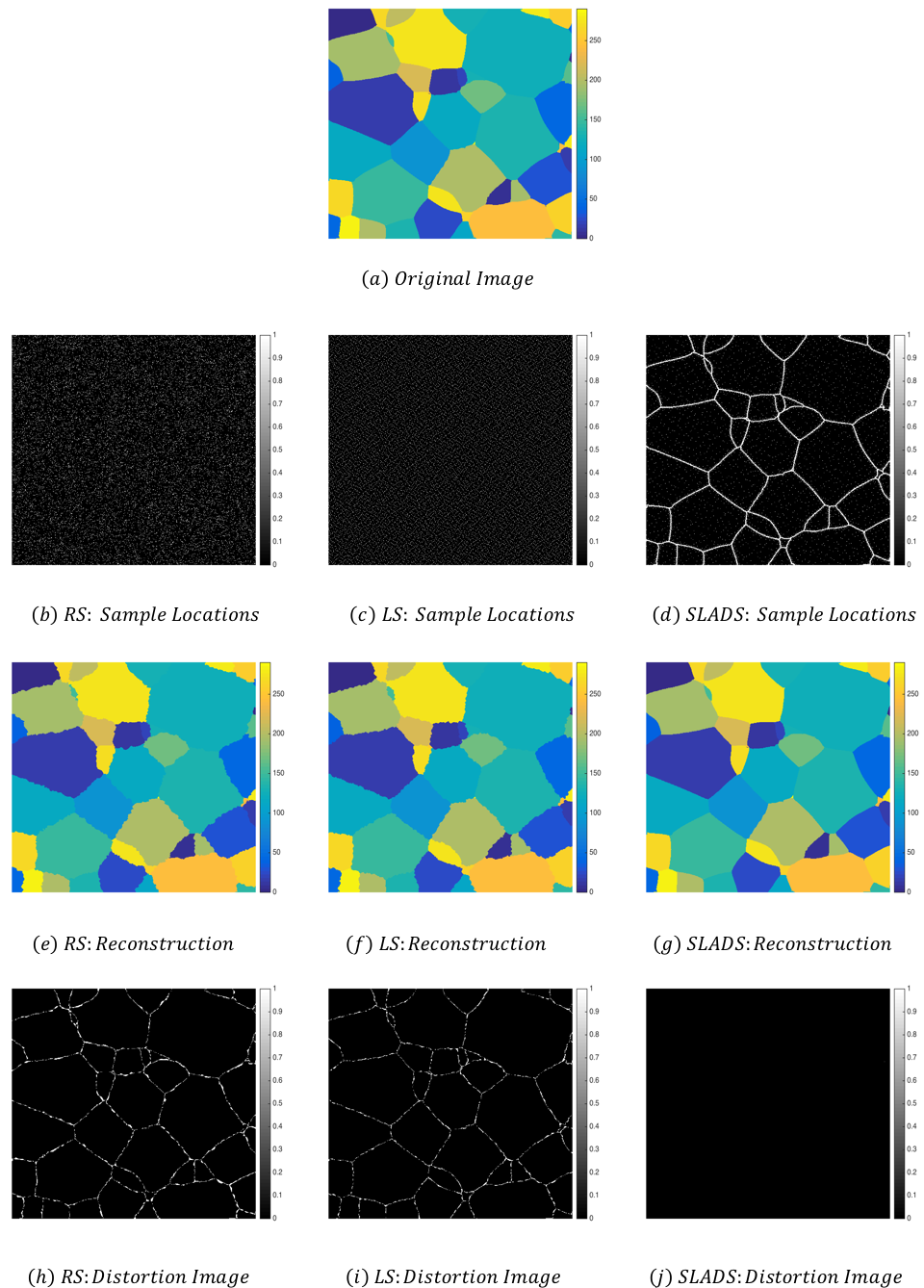 Images Illustrating The Sampling Locations, Reconstructions - Varnish (974x1382), Png Download