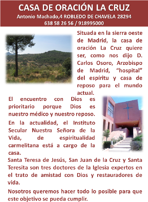 Tree (500x703), Png Download