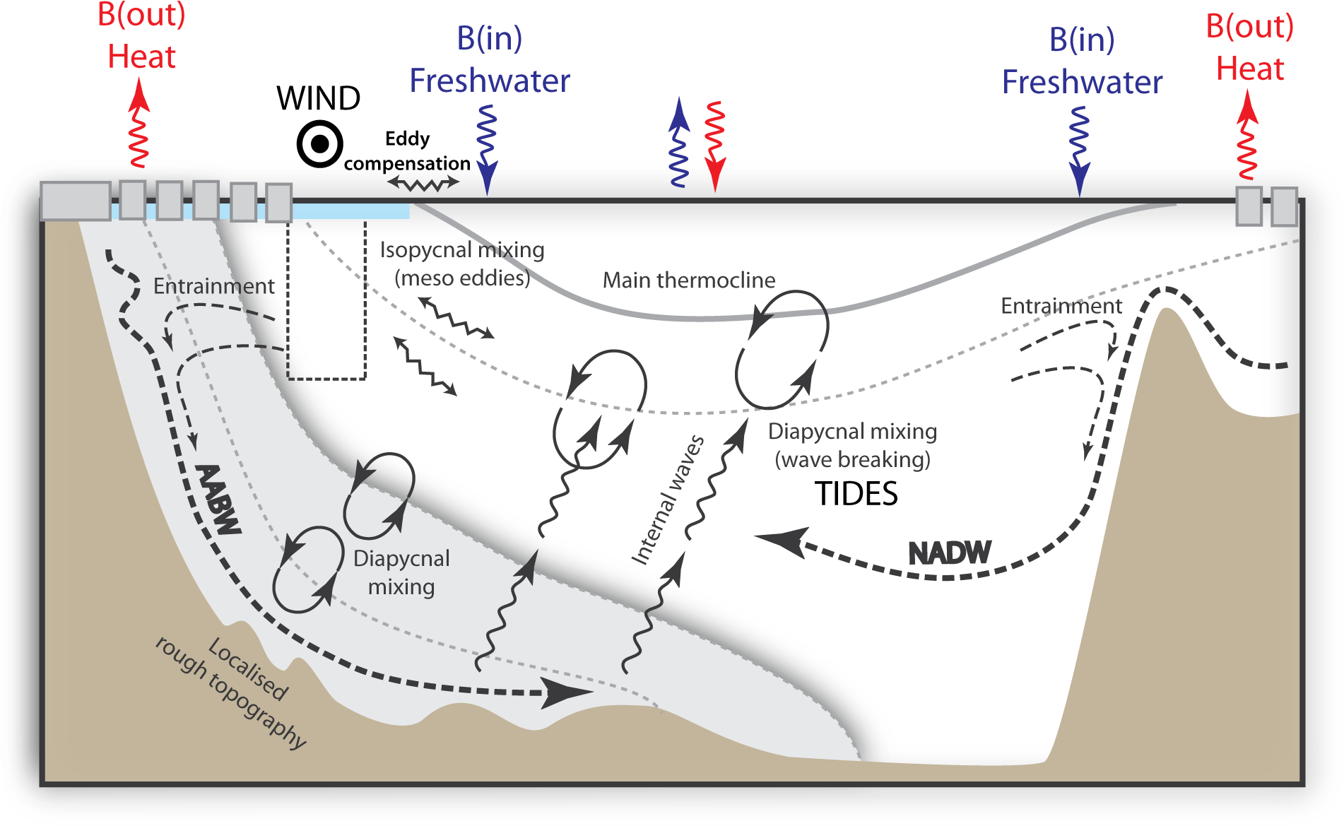 Moc Drivers Cartoon - Carbon Isotopes Ocean Circulation (1918x1183), Png Download