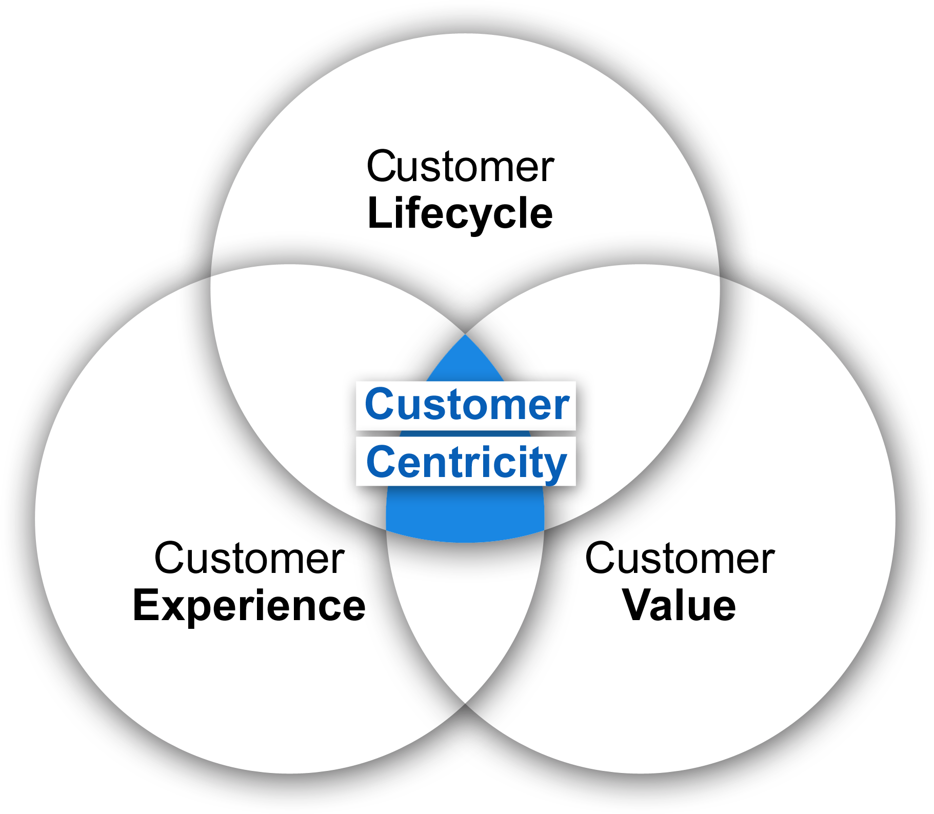 Customer Centricity Model - Put Your Customer First (2104x1810), Png Download