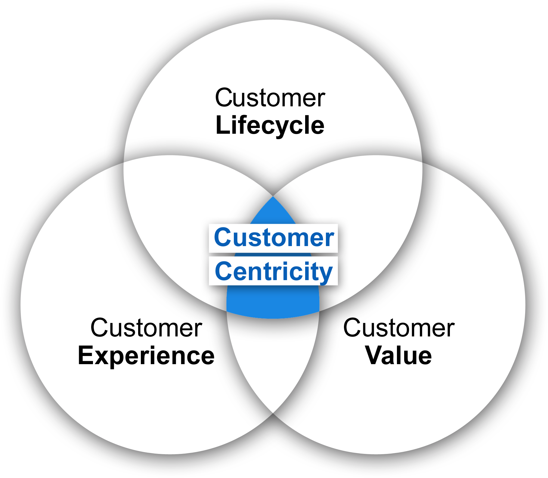download-customer-centricity-model-put-your-customer-first-png-image