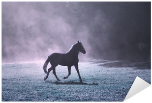 Fantasy Morning Sunlight Meadow With Brown Horse And - Stallion (400x400), Png Download