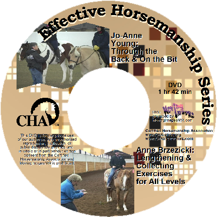 Through The Back And On The Bit Dvd Cover - Cha (467x464), Png Download