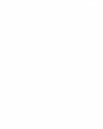 Coupe De Champagne Logo Ideas - Stickers Coupe De Champagne (342x430), Png Download