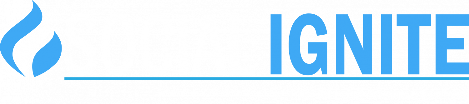 Social Ignite Social Media Management - Management (1500x333), Png Download