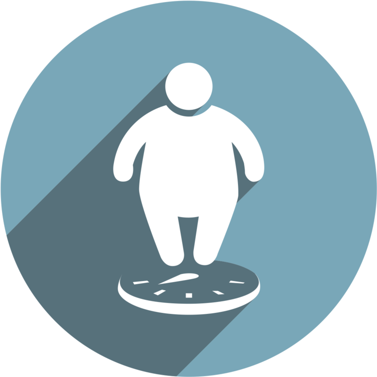 Fatloss-icon - Portable Network Graphics (1000x888), Png Download