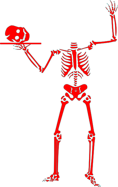 Skeleton Head Clip Art - Skeleton Halloween Clip Art (378x597), Png Download