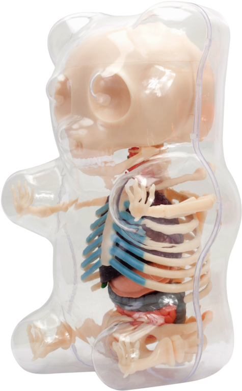 Gummy Bear (800x800), Png Download