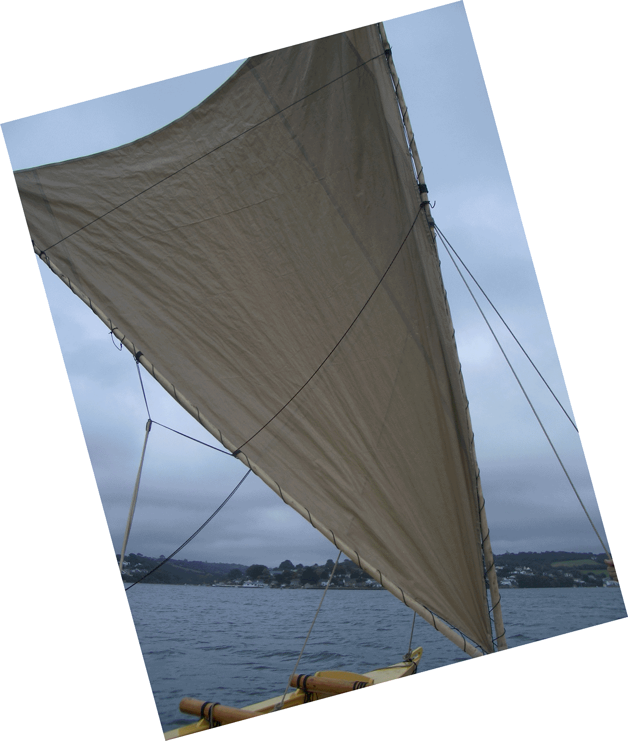 Crabclaw-sail ] - Portable Network Graphics (1259x1485), Png Download