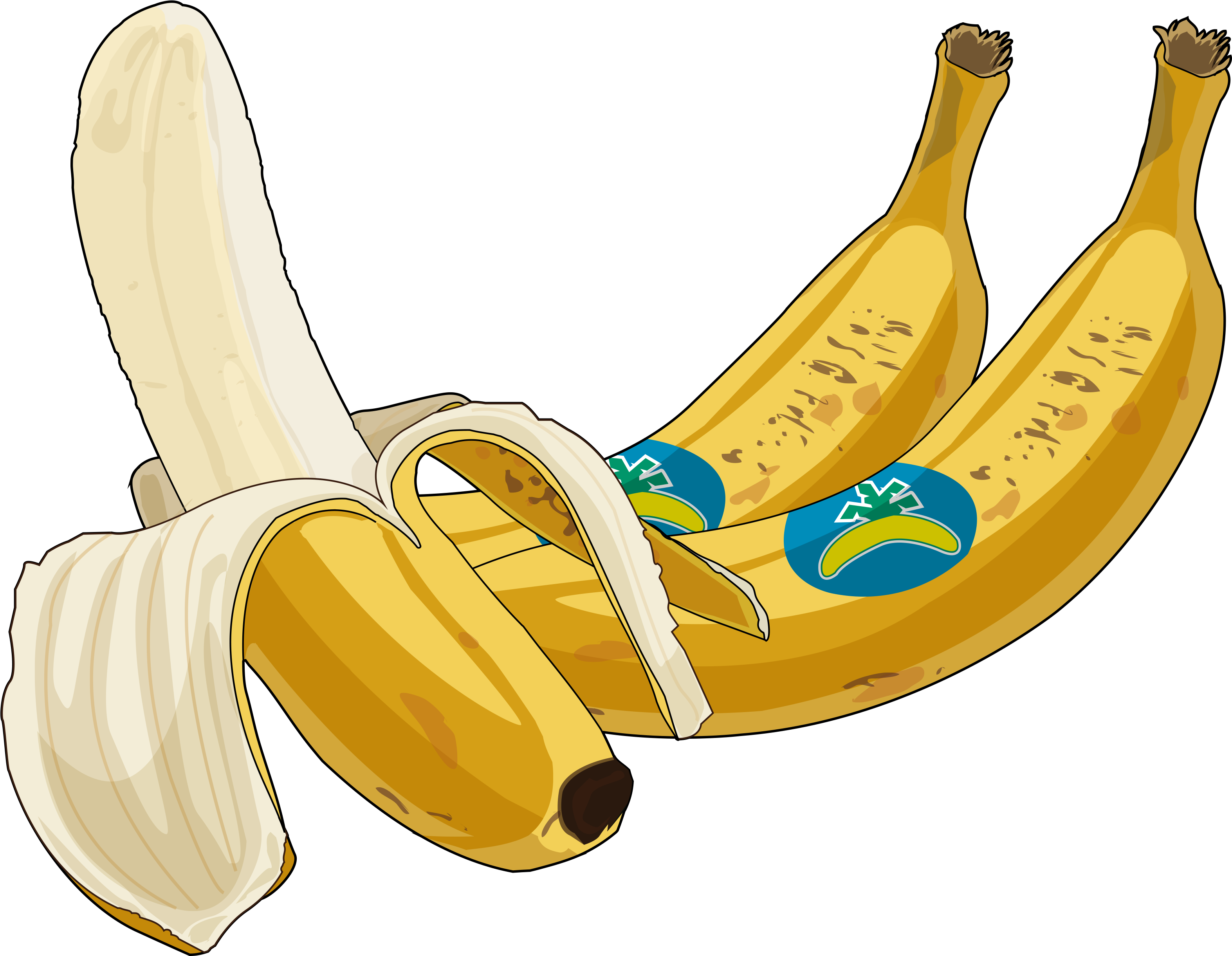 Archivo - Platano-canario - Platano De Canarias Png (3508x2480), Png Download