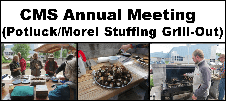 The Cms Annual Membership Meeting Will Be Held Sunday - Scouting (951x405), Png Download