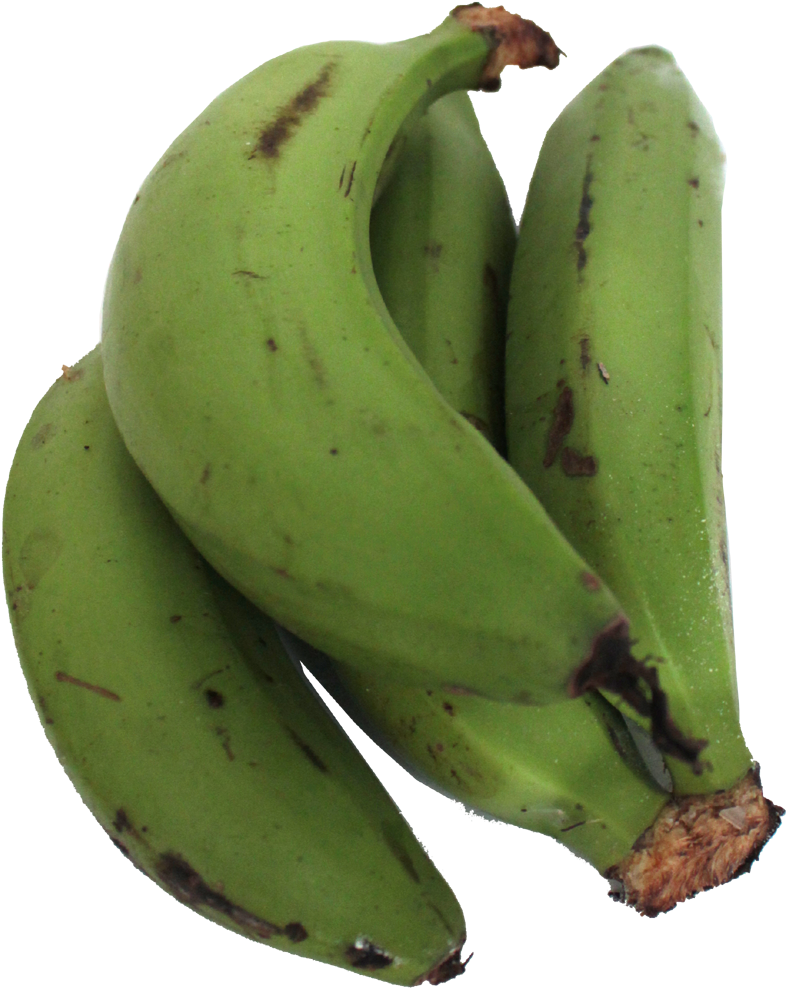 Solamente Nos Queda Por Revelar Que El Plátano Guineo - Saba Banana (800x1003), Png Download