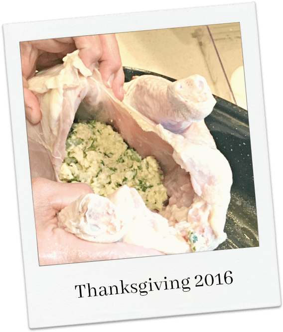 Retro Cracker Stuffing Dressing - Stuffing (577x674), Png Download