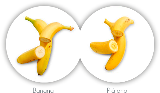 Diferencias Entre El Plátano De Canarias Y La Banana - Banana (588x346), Png Download