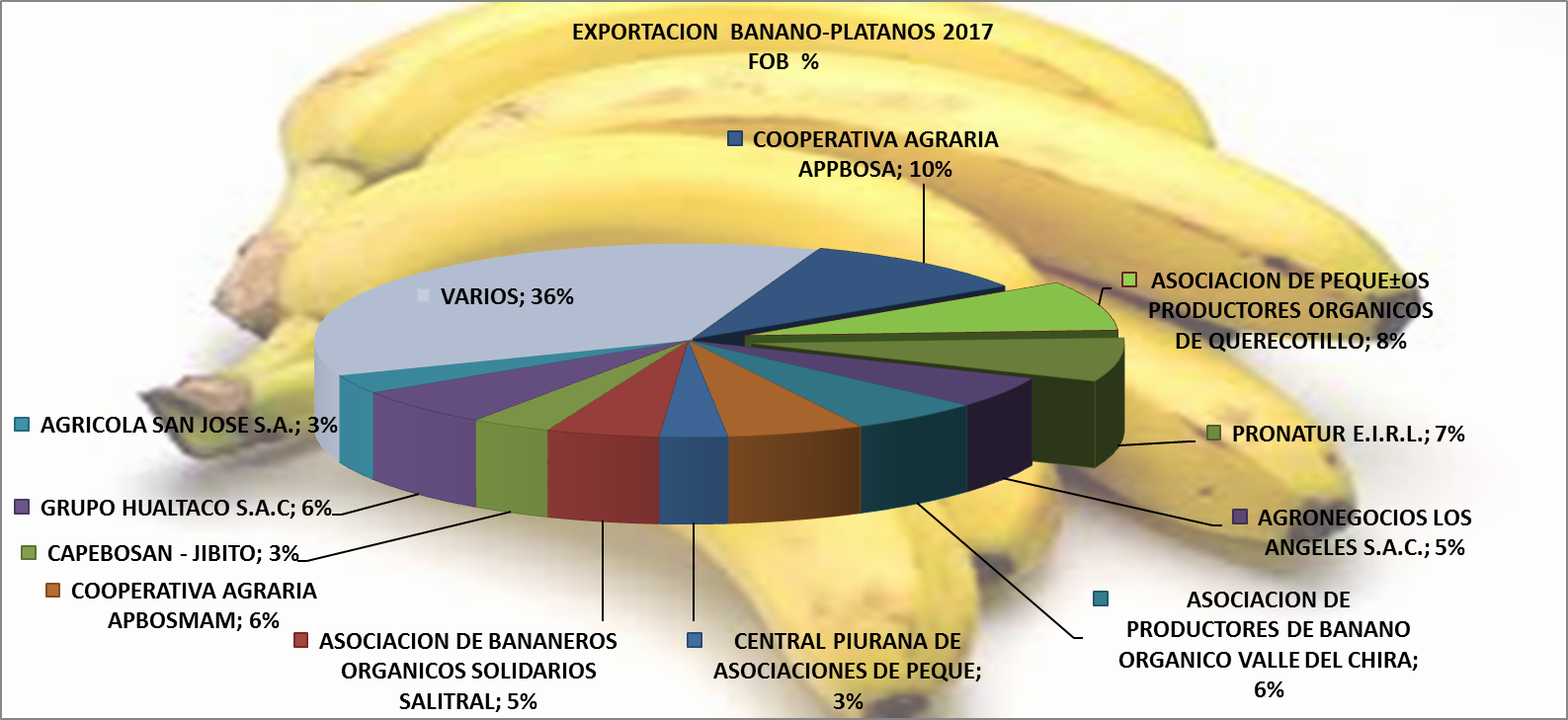 Plátano Banano Perú Exportación 2017 Marzo - Banano Criollo En Guatemala (1587x729), Png Download