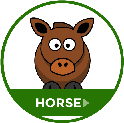 Gjl Animal Feeds - Cartoon Horse Shower Curtain (467x450), Png Download