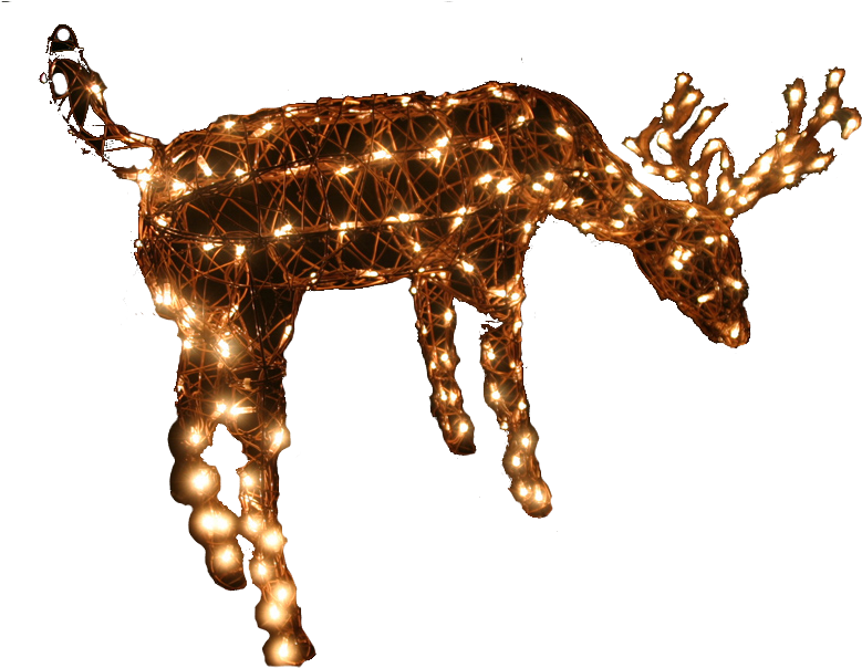 Photo Christmas Reindeer Light 5m Lead 1286 P - Christmas Day (837x636), Png Download