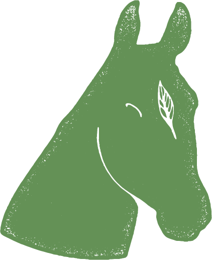Green Horse - Horse (422x517), Png Download