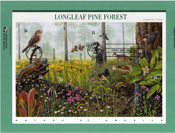 Carnivorous Plant Stamps - Nature Of America Stamp Series (600x600), Png Download